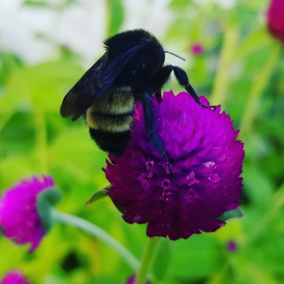 Meet your Posher, nissy - Picture 1 of 1